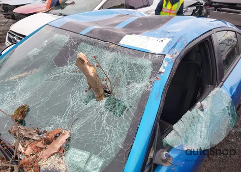 2019 Dodge Charger Sxt Rwd z USA, uszkodzony, nr VIN 2C3CDXBGXKH623889